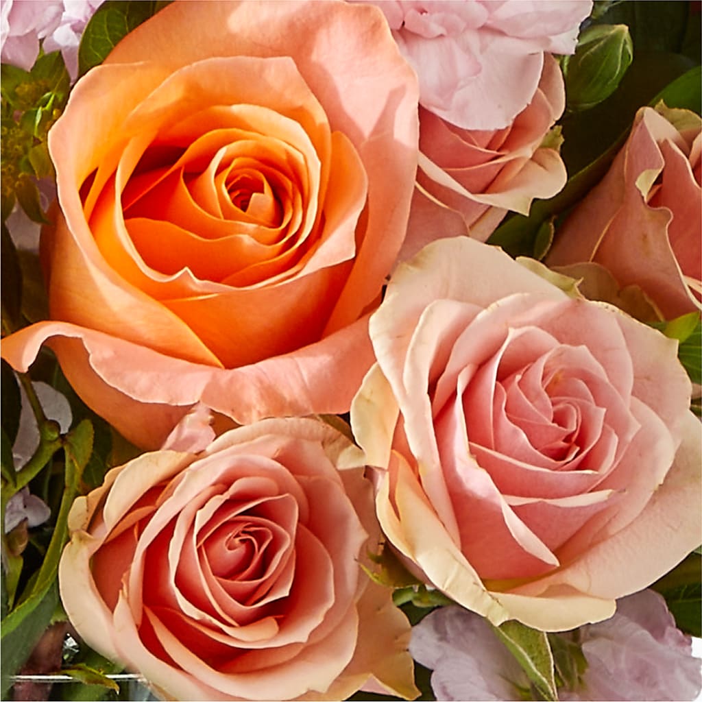 French Market Bouquet –  Coatesville Flower Shop, Coatesville PA