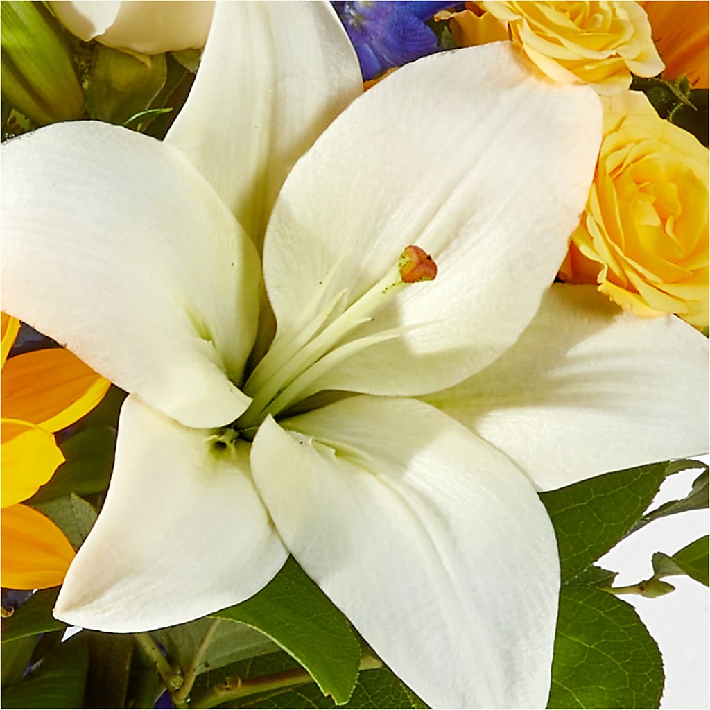 Wonderfully Sunny Bouquet –  Coatesville Flower Shop, Coatesville PA