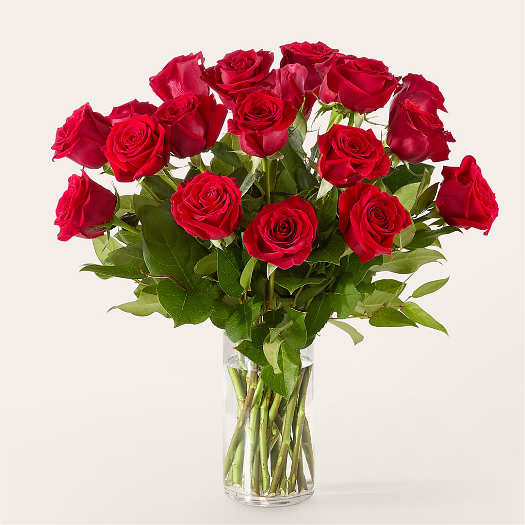 The One Red Rose Bouquet –  Coatesville Flower Shop, Coatesville PA