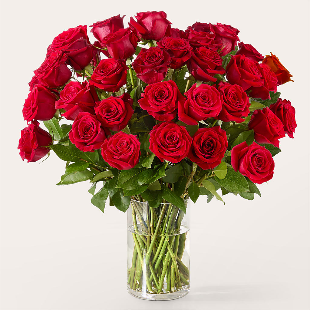 The One Red Rose Bouquet –  Coatesville Flower Shop, Coatesville PA