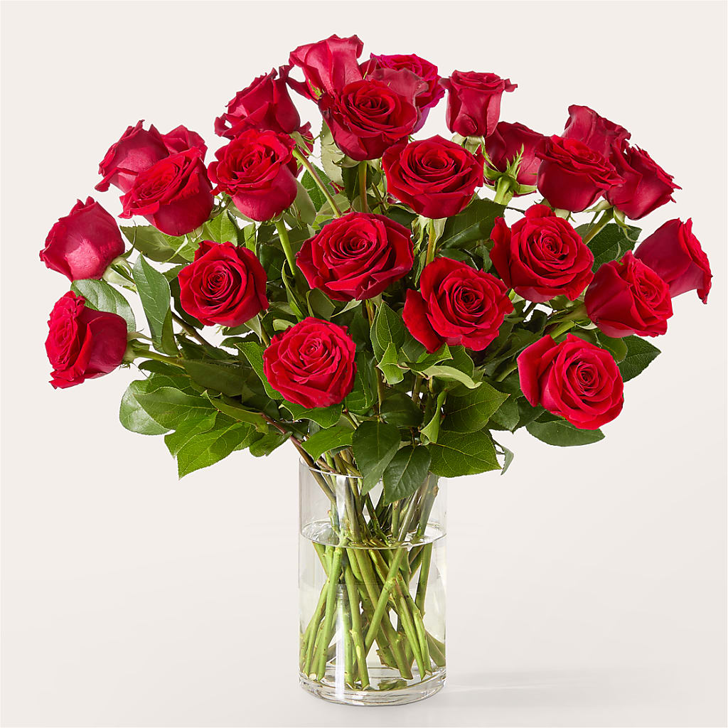 The One Red Rose Bouquet –  Coatesville Flower Shop, Coatesville PA