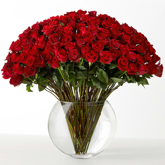 The Idealist –  Coatesville Flower Shop, Coatesville PA