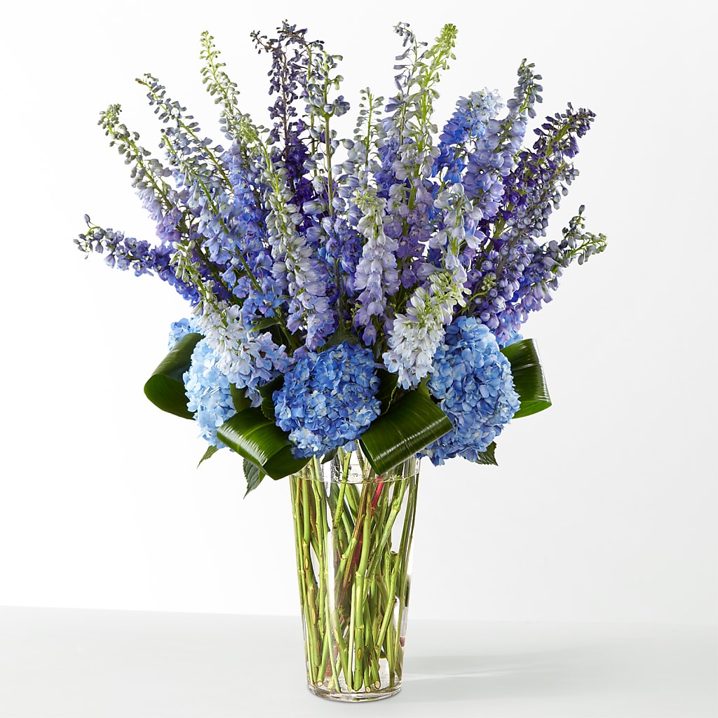 The Editorial –  Coatesville Flower Shop, Coatesville PA