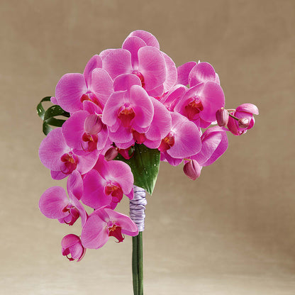 Glorious Bouquet –  Coatesville Flower Shop, Coatesville PA