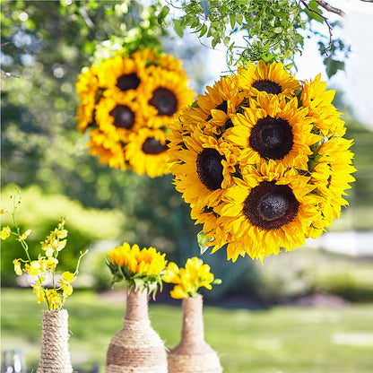 Sublime Garden Hanging Arrangement –  Coatesville Flower Shop, Coatesville PA
